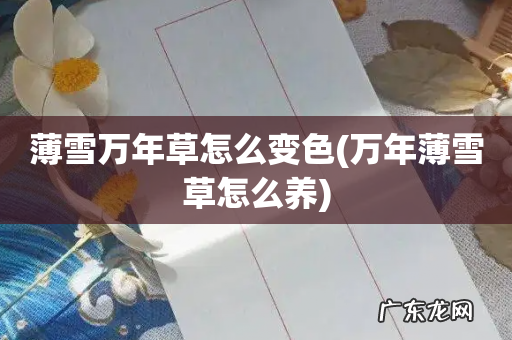 万年薄雪草怎么养 薄雪万年草怎么变色