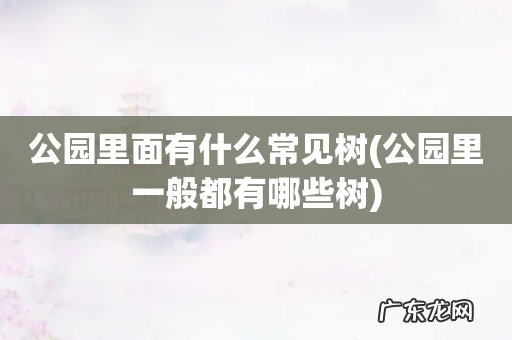 公园里一般都有哪些树 公园里面有什么常见树