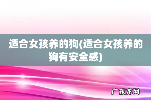 适合女孩养的狗有安全感 适合女孩养的狗