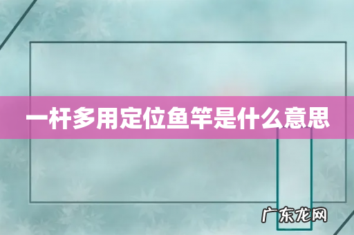 一杆多用定位鱼竿是什么意思