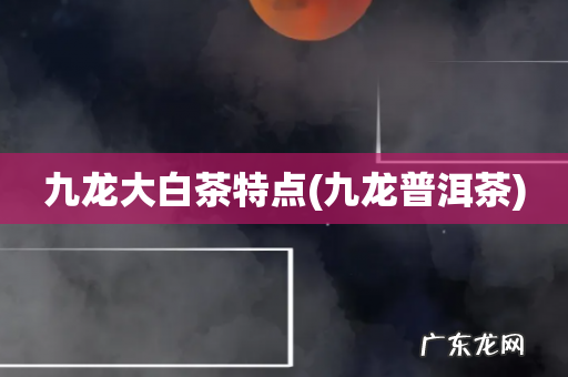 九龙普洱茶 九龙大白茶特点