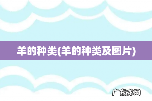 羊的种类及图片 羊的种类