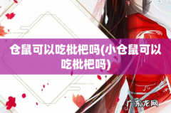 小仓鼠可以吃枇杷吗 仓鼠可以吃枇杷吗