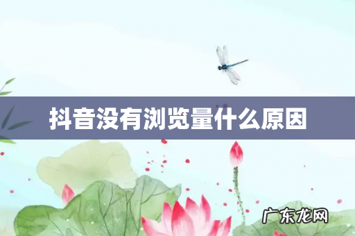 抖音没有浏览量什么原因