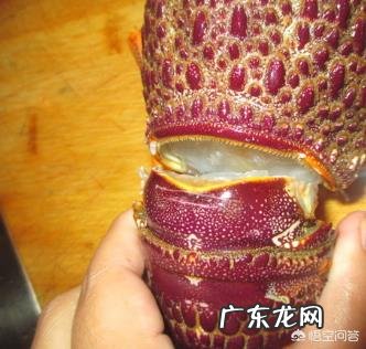 清蒸澳洲龙虾的做法?