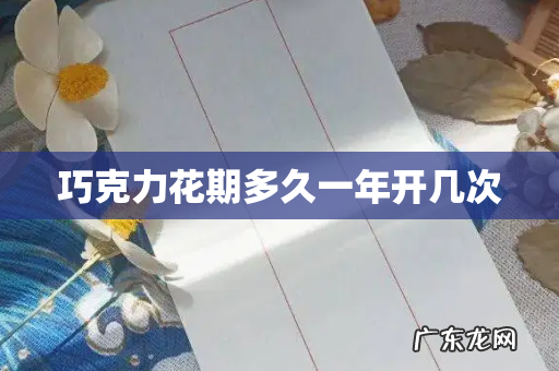 巧克力花期多久一年开几次