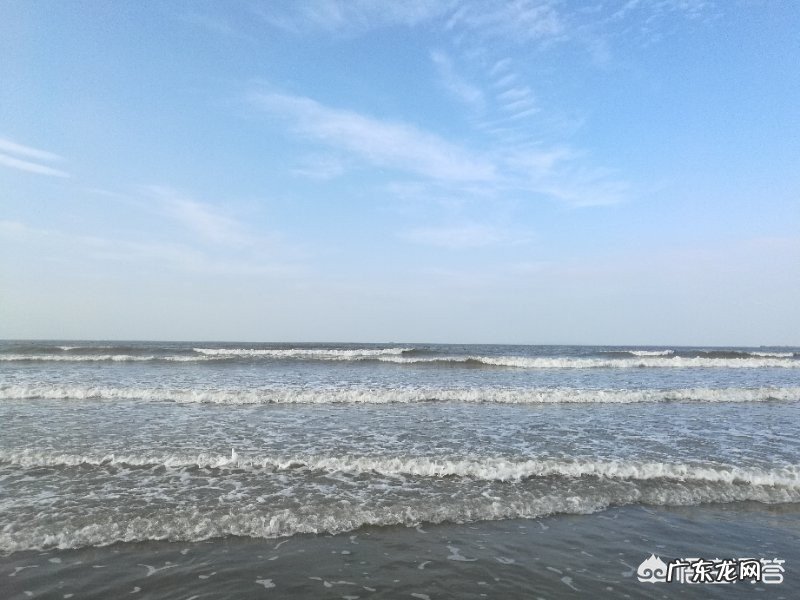 现在小学一年级读书,需要补课吗?