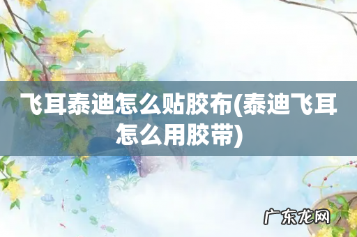 泰迪飞耳怎么用胶带 飞耳泰迪怎么贴胶布