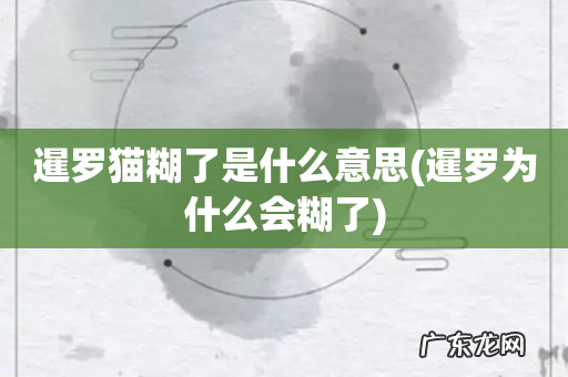 暹罗为什么会糊了 暹罗猫糊了是什么意思