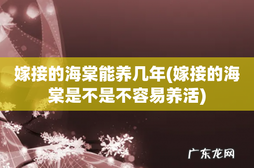 嫁接的海棠是不是不容易养活 嫁接的海棠能养几年