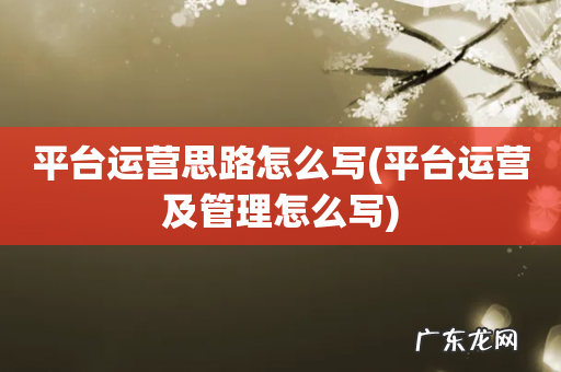 平台运营及管理怎么写 平台运营思路怎么写