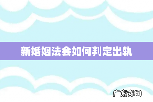 新婚姻法会如何判定出轨