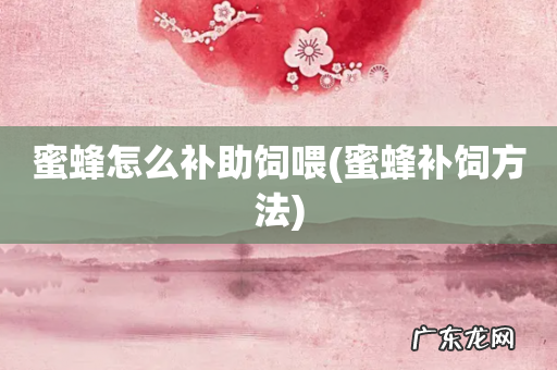 蜜蜂补饲方法 蜜蜂怎么补助饲喂