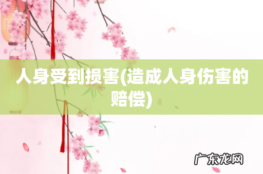 造成人身伤害的赔偿 人身受到损害