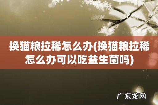 换猫粮拉稀怎么办可以吃益生菌吗 换猫粮拉稀怎么办