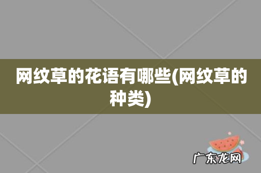 网纹草的种类 网纹草的花语有哪些