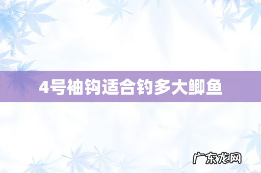 4号袖钩适合钓多大鲫鱼