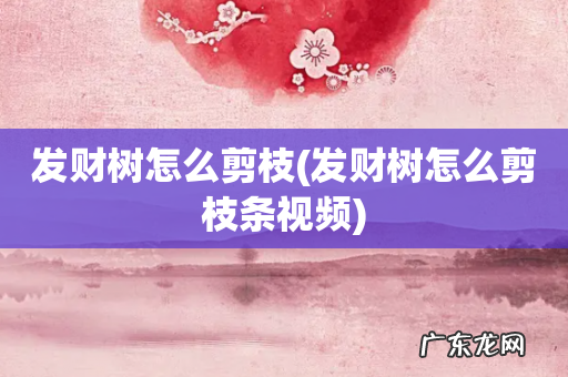 发财树怎么剪枝条视频 发财树怎么剪枝