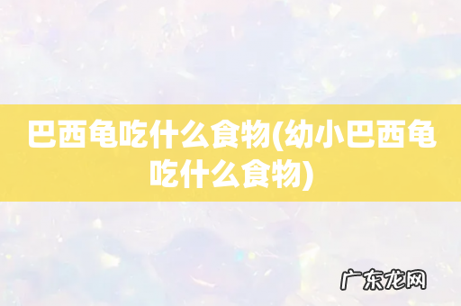 幼小巴西龟吃什么食物 巴西龟吃什么食物