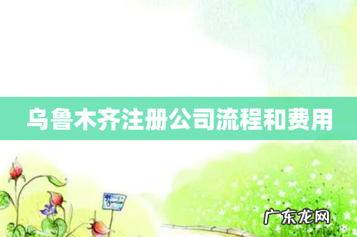 乌鲁木齐注册公司流程和费用