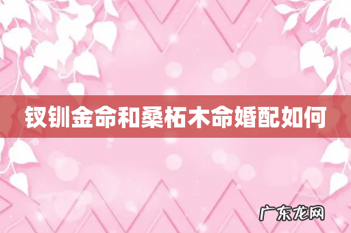 钗钏金命和桑柘木命婚配如何