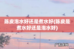 陈皮是煮水好还是泡水好 陈皮泡水好还是煮水好