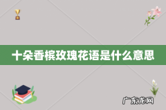 十朵香槟玫瑰花语是什么意思