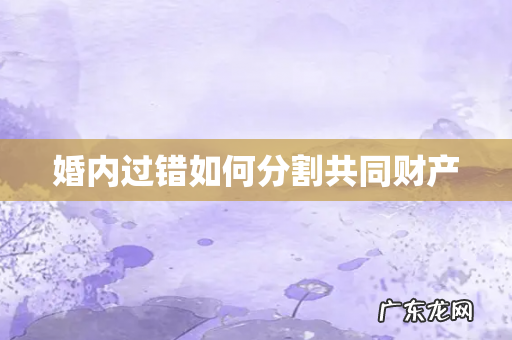 婚内过错如何分割共同财产