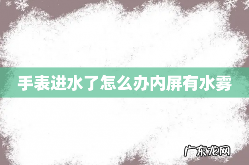 手表进水了怎么办内屏有水雾