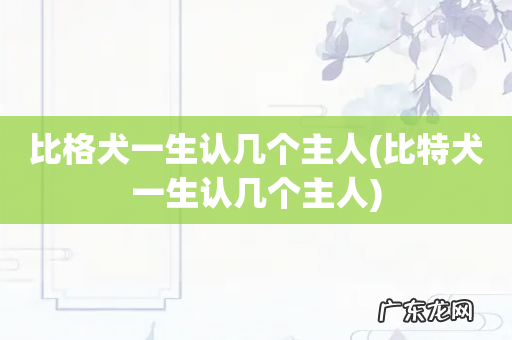 比特犬一生认几个主人 比格犬一生认几个主人