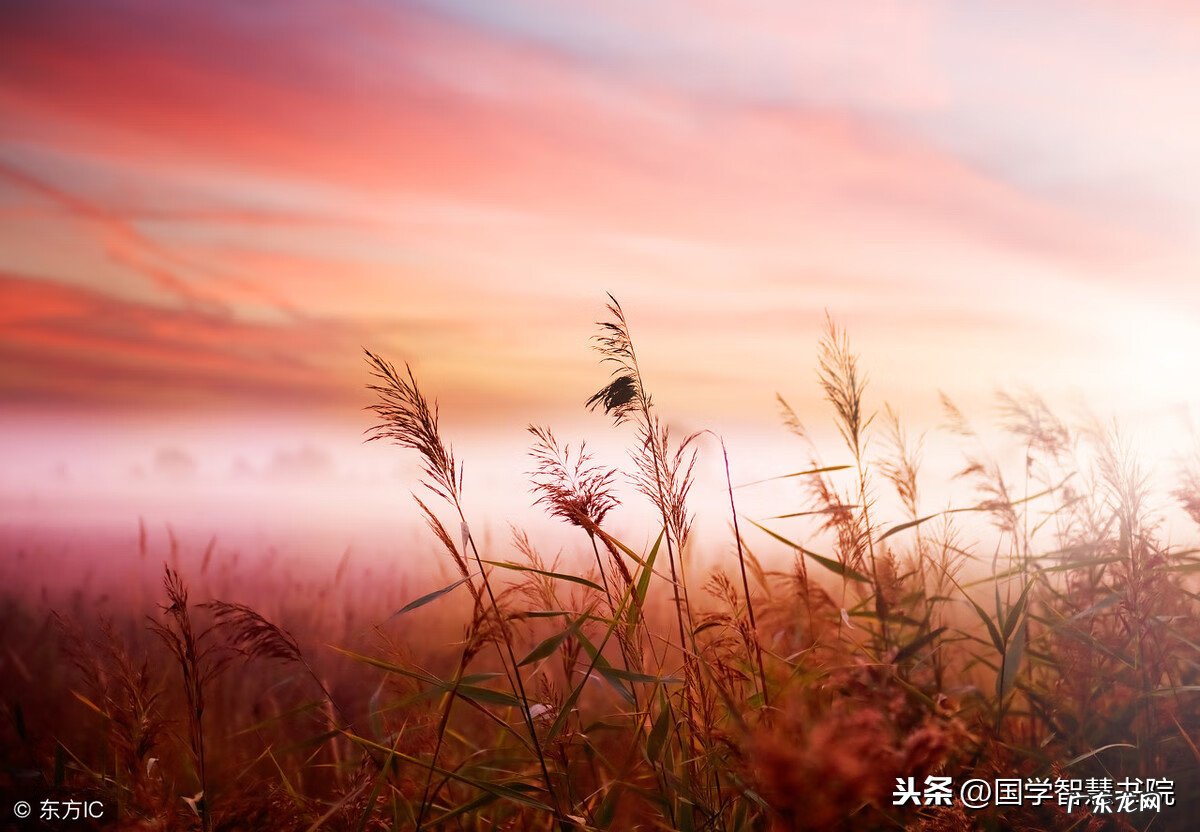 风水学上的聚阴地 阴阳风水知识