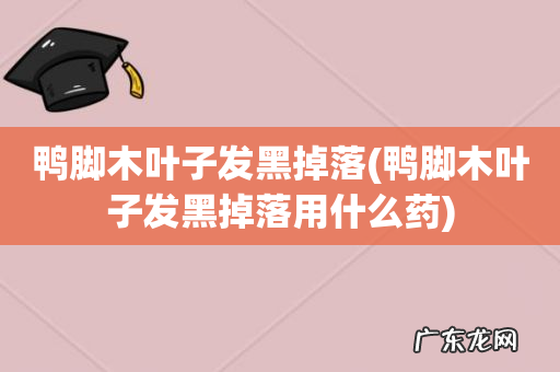 鸭脚木叶子发黑掉落用什么药 鸭脚木叶子发黑掉落