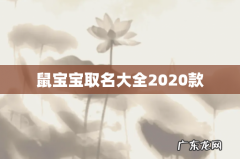 鼠宝宝取名大全2020款