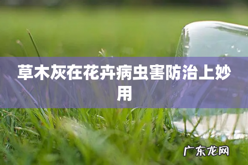 草木灰在花卉病虫害防治上妙用