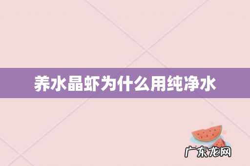 养水晶虾为什么用纯净水