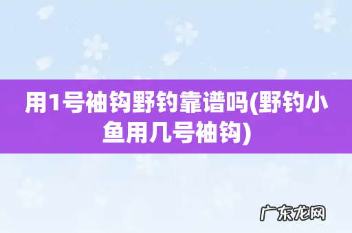 野钓小鱼用几号袖钩 用1号袖钩野钓靠谱吗