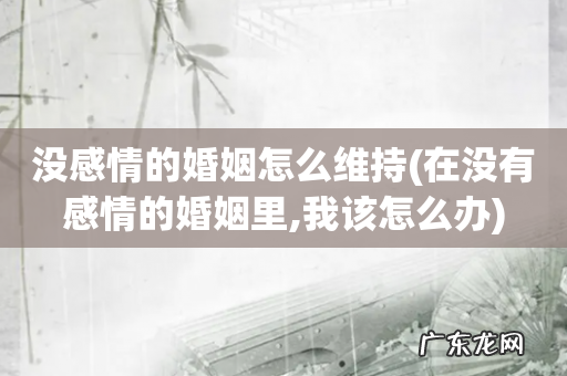 在没有感情的婚姻里,我该怎么办 没感情的婚姻怎么维持