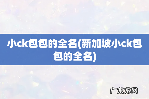 新加坡小ck包包的全名 小ck包包的全名