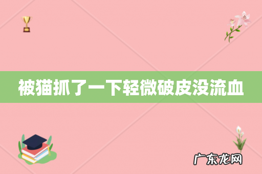 被猫抓了一下轻微破皮没流血