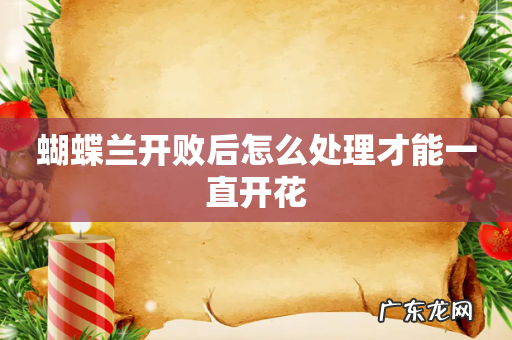 蝴蝶兰开败后怎么处理才能一直开花