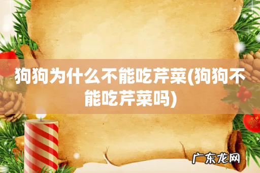 狗狗不能吃芹菜吗 狗狗为什么不能吃芹菜