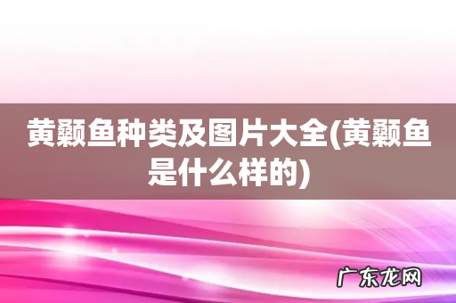 黄颡鱼是什么样的 黄颡鱼种类及图片大全