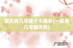 一般用几号朝天钩 朝天钩几号能大小通杀