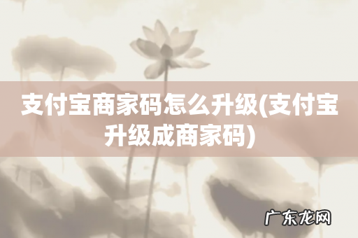 支付宝升级成商家码 支付宝商家码怎么升级