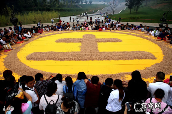 戊土八字案例 什么泄戊土