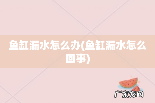 鱼缸漏水怎么回事 鱼缸漏水怎么办