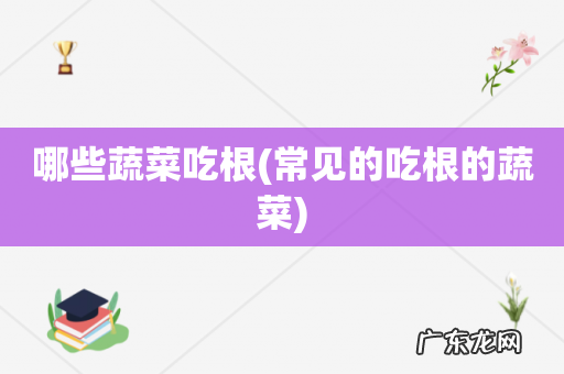 常见的吃根的蔬菜 哪些蔬菜吃根