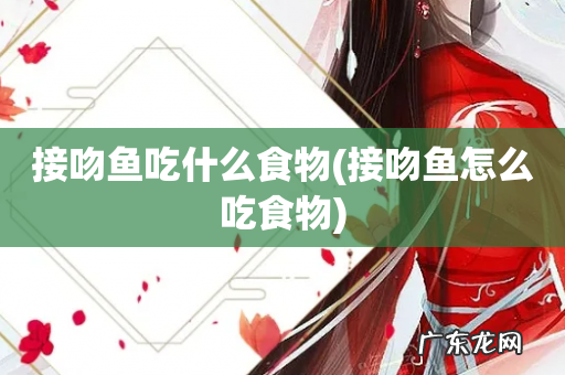 接吻鱼怎么吃食物 接吻鱼吃什么食物