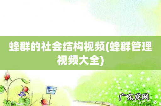 蜂群管理视频大全 蜂群的社会结构视频
