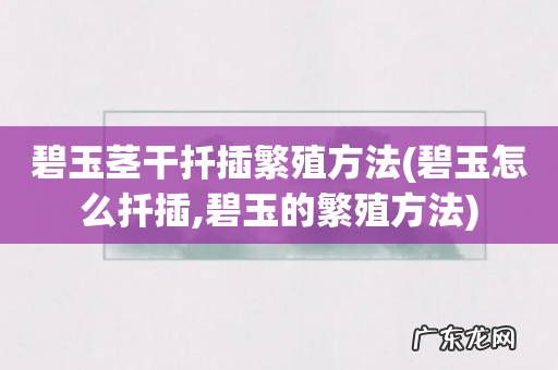 碧玉怎么扦插,碧玉的繁殖方法 碧玉茎干扦插繁殖方法